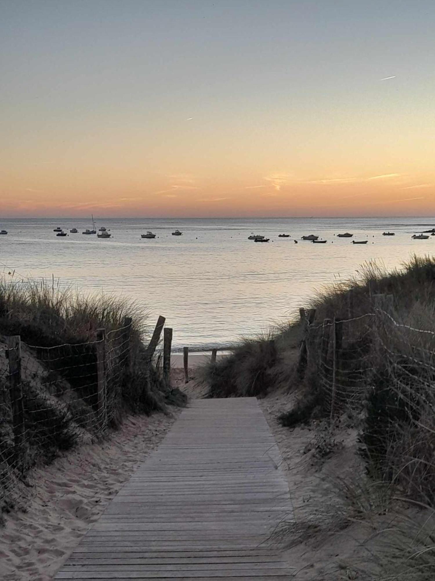 Appartement Aloha Ohana 4-6 Personnes A 400M De La Plage A Dolus D'Oleron ภายนอก รูปภาพ